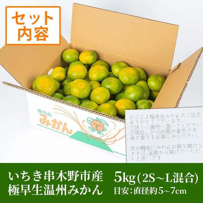 ＜数量・期間限定＞ 極早生 温州みかん 5kg 箱満杯バラ詰め！2S～Lサイズ 果樹【00-054-07】