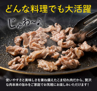 【6ヶ月定期便】熊本県産 豚肉 モモスライス ウデ こま切れ セット 合計 約18kg 約3kg×6回 植田商事有限会社 《お申し込み月の翌月から出荷開始》 熊本県 菊池市 モモ ウデ 詰め合わせ 豚