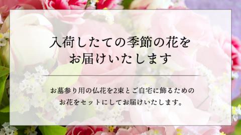 定期便 6か月 ＊ 仏花 セット S （ 束 ×2 ・ アレンジメント ） 定期 花 フラワー 生花 月命日 命日 墓前 お墓参り 供花 お悔やみ お供え [CT105ci]