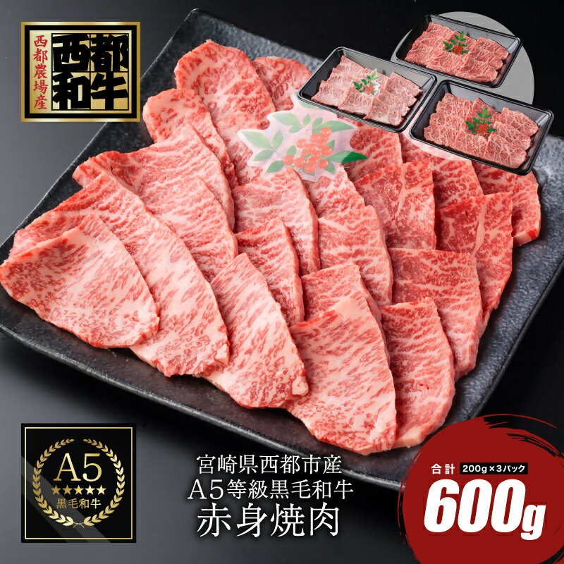 【ふるさと納税】宮崎県産黒毛和牛赤身焼肉600g（200g×3）〈1.4-6〉カミチクファーム ふるさと納税 黒毛和牛 焼肉 国産 牛肉 小分け 送料無料