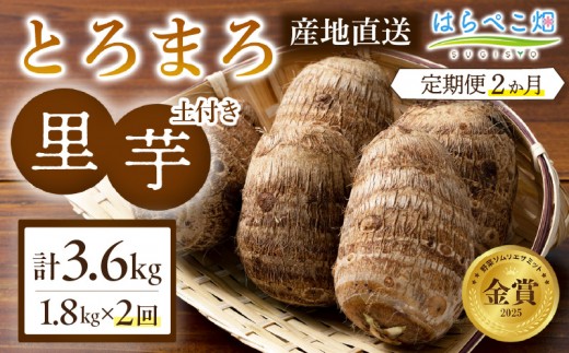 【定期便2ヶ月】里芋『とろまろ』土付き 1.8kg・H134