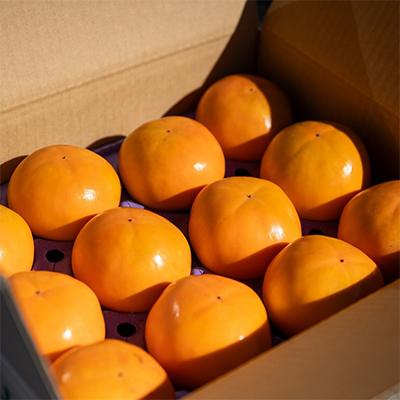 ふるさと納税 かすみがうら市 甘くて美味しい富有柿　10〜14個(3kg) |  | 02