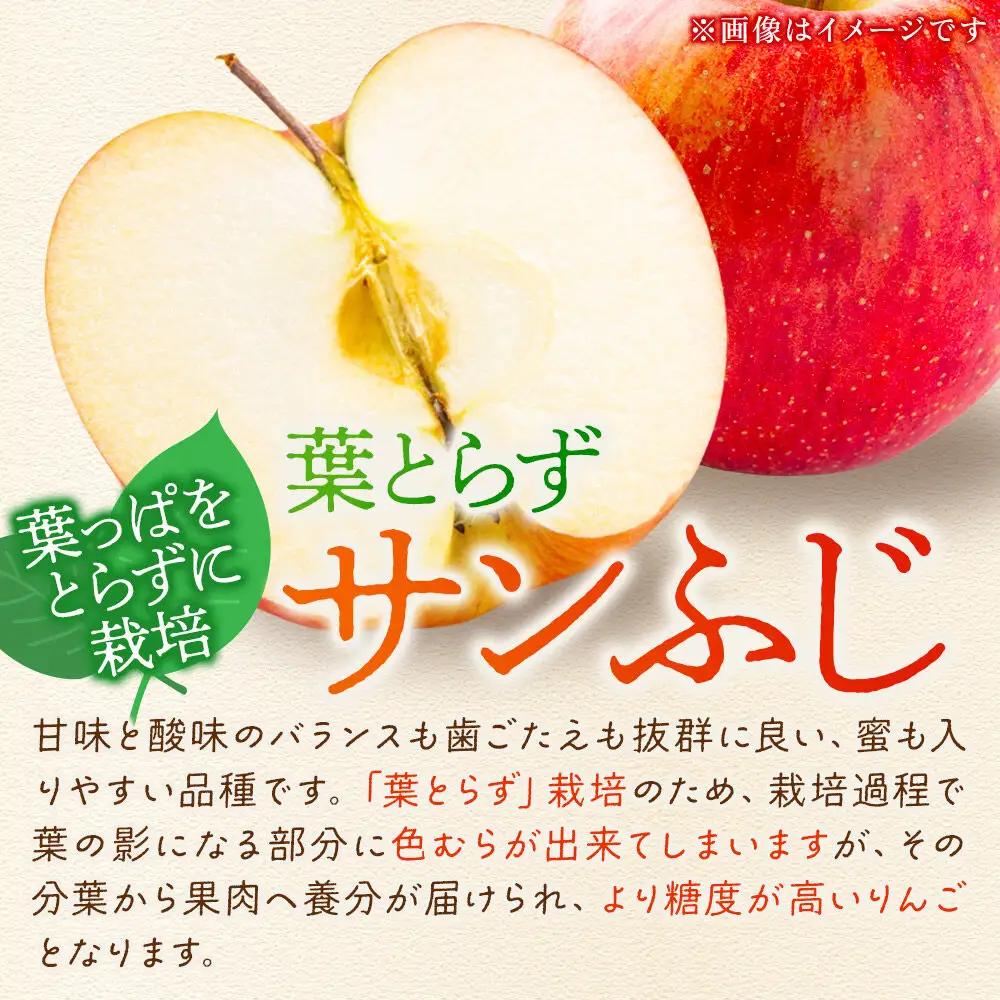 【27年1月～発送】りんご 葉とらずサンふじ【特選】約3kg 8～12玉程度【糖度13度以上】津軽農園 先行受付 青森県 弘前市 果物 フルーツ 林檎 リンゴ くだもの ギフト 贈り物