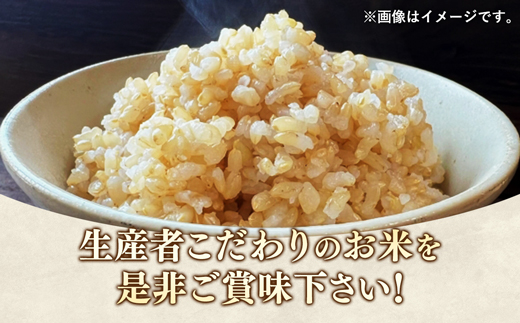 【令和7年産】無農薬・無化学肥料栽培 埼玉県幸手市産特別栽培コシヒカリ 「幸ヒカリ」玄米10kg - 新米発送 コシヒカリ こしひかり 米 玄米 10kg 特別栽培米 幸手市産 埼玉県 幸手市