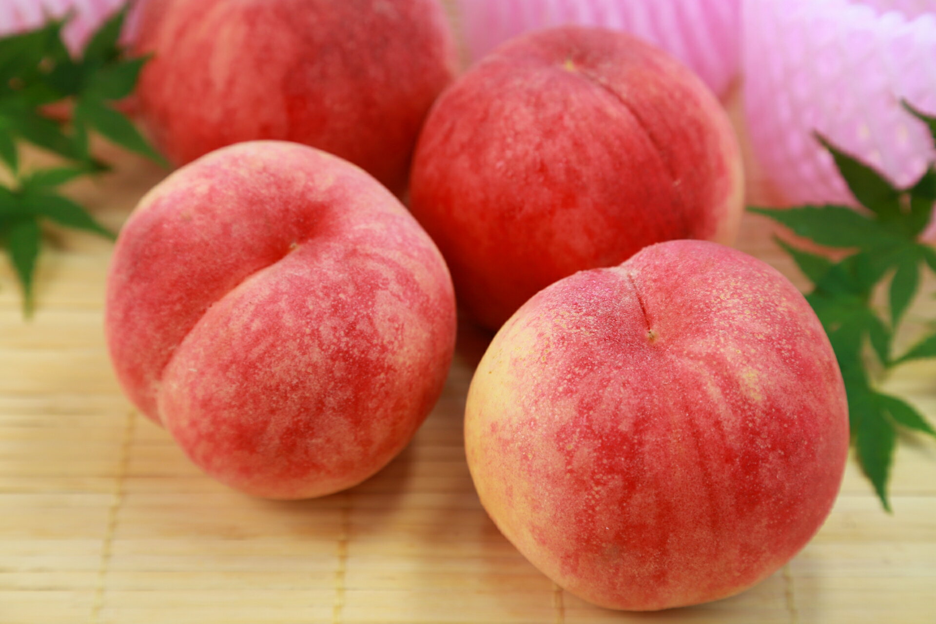 【ふるさと納税】【2025年先行予約】桃(品種おまかせ) 家庭用 約3kg/約5kg｜ 果物 フルーツ もも モモ 白桃 白鳳 特産品 千曲市 長野県 信州