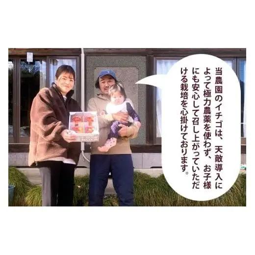 やさしさ仕立ての とちあいか 300g×2P 【2027年先行予約】 栃木県 矢板市