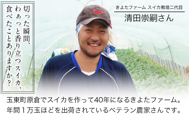 【先行予約】『きよたファーム』のすいか 1玉約8〜10kg 《2026年5月下旬-6月下旬頃出荷》 熊本県玉名郡玉東町『きよたファーム』すいか フルーツ 果物 熊本県産