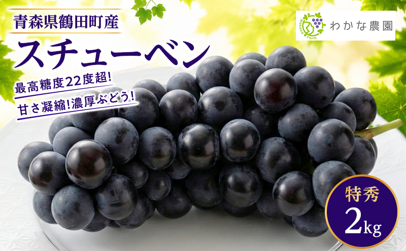 【園主厳選・特秀】奇跡のぶどう スチューベン 2kg　最高糖度22度超！ わかな農園