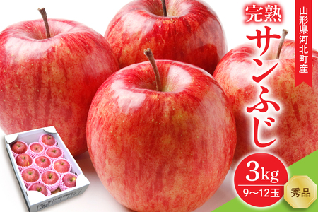 【令和7年産】サンふじりんご 完熟 3kg (9～12玉前後) 贈答用 秀品 山形県河北町産【山形eLab】ka074-013
