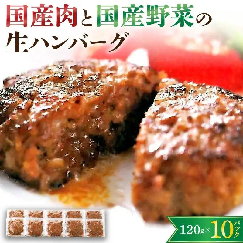 国産肉と国産野菜の生ハンバーグ　１２０ｇ×１０パック　0002-2203