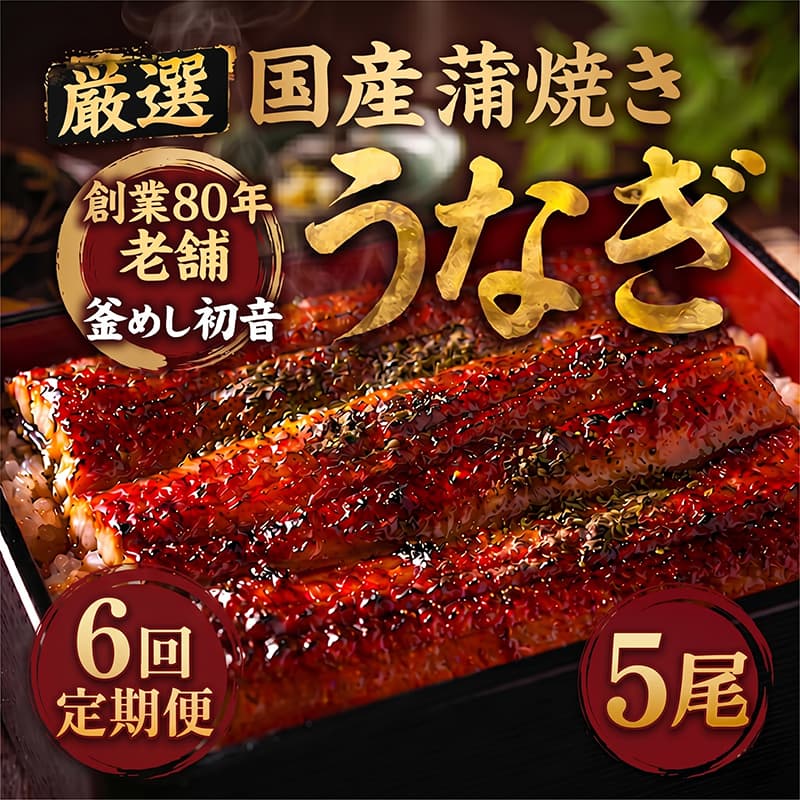 【定期便6回】70年継ぎ足しの秘伝のたれ！初音の厳選高知県産うなぎ蒲焼き5尾（1尾約190g～220g）＿ 国産 うなぎ 鰻 蒲焼き かば焼き タレ付き 高知県産 冷凍 海鮮 うな重 ひつまぶし 人気