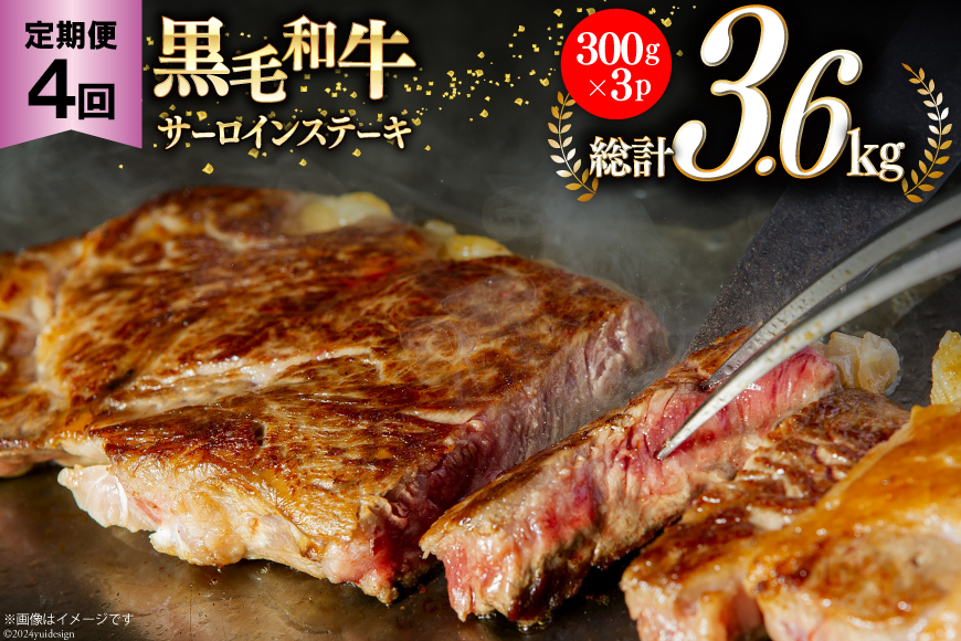 4回 定期便 宮崎県産 黒毛和牛 サーロイン ステーキ 300g ×3×4ヶ月 合計3.6kg [サンアグリフーズ 宮崎県 美郷町 31ba0033] 小分け 冷凍 送料無料 国産 牛 肉 霜降り B