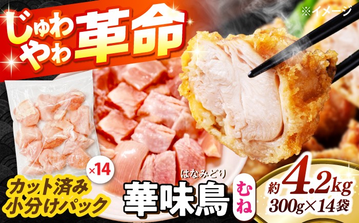 
                  鶏むね肉  華味鳥 むね肉 4.2kg（300g×14袋）小分け カット済み 南島原産 / 鶏肉 肉 とり肉 ムネ肉 鶏むね肉 冷凍 大容量 鶏肉 肉 とり肉 ムネ肉 鶏むね肉 冷凍 鶏肉 肉 とり肉 ムネ肉 鶏むね肉 冷凍 鶏肉 むね肉 胸肉 とりにく 肉 国産 鶏ムネ肉 むね身 ヘルシー 筋トレ 鶏胸肉 / 南島原市 / 株式会社渡部ブロイラー [SFS008]
                