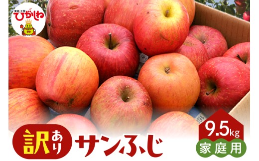 【2026年産】※訳あり※ サンふじ満杯詰(約9.5kg) 山形県 東根市 東根農産センター提供 hi027-204-r8