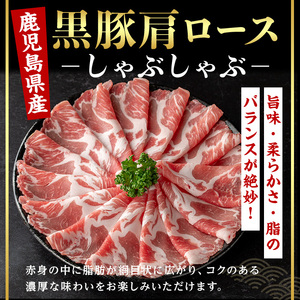 ＜14営業日 以内発送！＞鹿児島県産 黒豚 肩ロース × バラ しゃぶしゃぶ セット (合計1kg・各500g) 国産 豚肉【肉のちょーさん】A954