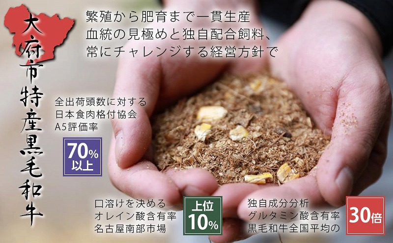 【定番】大府特産A5黒毛和牛下村牛特上あかみステーキ　3枚600g入り