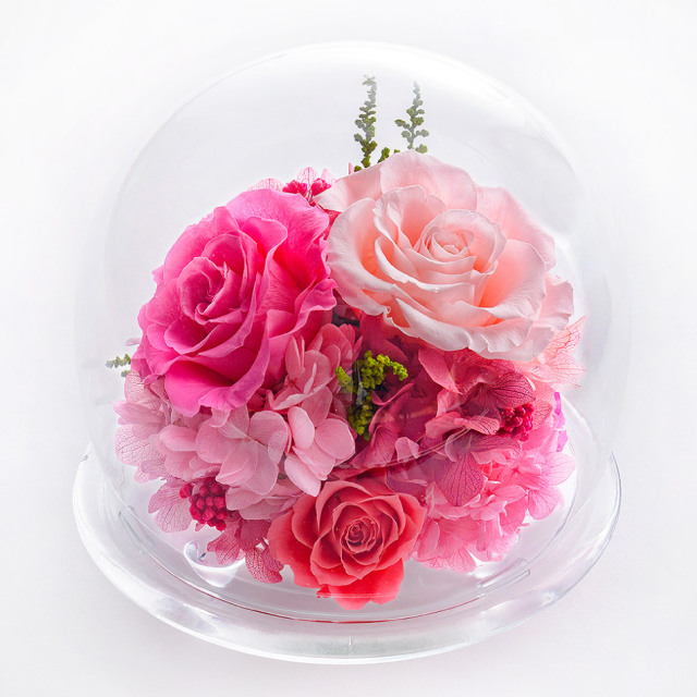 ガラスドームL 花 お花 プリザーブドフラワー ギフト プレゼント お祝い 誕生日 お供え アレンジ インテリア 東京都 墨田区【レッド】