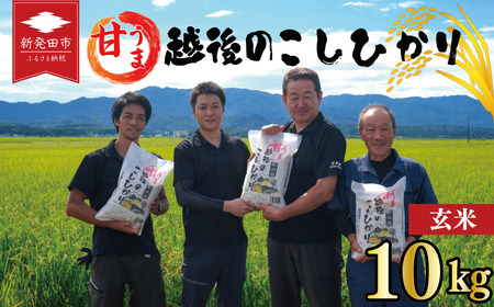 【先行予約】 令和7年産 玄米 コシヒカリ 10kg こしひかり 甘うま越後のこしひかり ご飯 備蓄 コメ お米 米 こめ しんまい 新潟産 新潟米 新潟県 新潟 新発田 新発田市 国産 新発田市産 