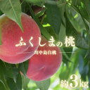 【ふるさと納税】No.1690もも 川中島白桃 約3kg【2024年発送】