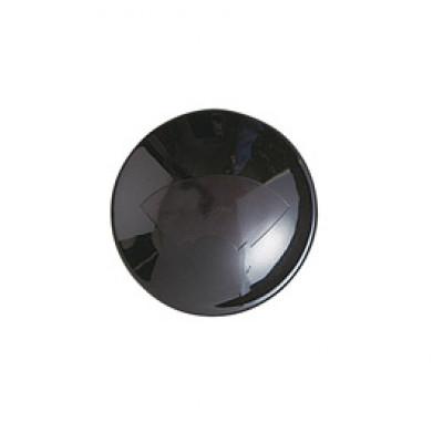 ふるさと納税 多治見市 【温度で変化する器】【美濃焼】 温感平盃(黒)1個  『南天』 |  | 01
