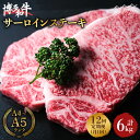 【ふるさと納税】【全12回定期便】大満足！ 博多和牛 牛肉 サーロイン ステーキ 500g（250g×2）＜肉のくまもと屋＞那珂川市 定期便 牛肉 肉 黒毛和牛 ブランド牛 国産 BBQ バーベキュー [GBI035]315000 315000円