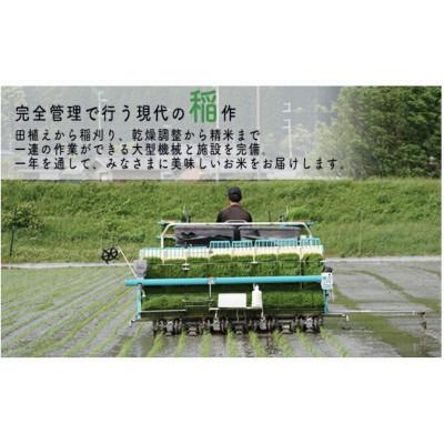 ふるさと納税 若狭町 【令和7年産】福井県若狭町コシヒカリ(1等米)20kg |  | 02