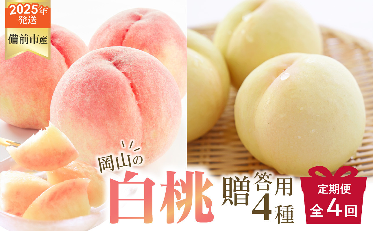 
            【2025年発送】【定期便】びぜん白桃　贈答用セット 約1.5kg×4回発送 【 岡山県備前市産 樹上完熟白桃  約1.5kg（5～7玉目安）×4回発送 贈答用 】
          