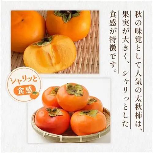 益城町産 太秋柿 約3kg(益城町)【配送不可地域：離島】【1510883】