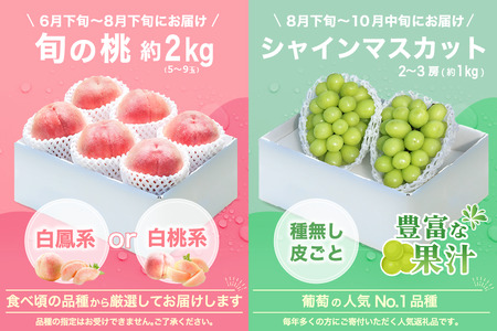 【2026年発送 先行予約】2回定期便 旬のフルーツ定期便（桃2㎏・シャインマスカット2～3房）180-006-26y