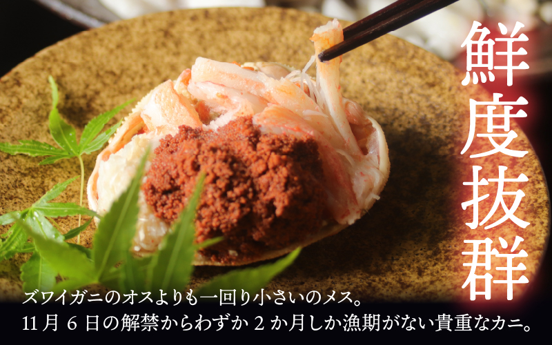 越前がに（メス）「せいこがに」身出し甲羅盛り 70g × 2杯