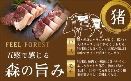 飛騨ジビエ 牡丹鍋セット2～3人前  | ジビエ 鍋 野菜付き カット済み 高たんぱく ヘルシー 自然派 猟師 飛騨狩人工房 うり坊屋 飛騨高山 株式会社かりびと HN010