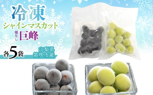冷凍シャイン、冷凍巨峰（各5袋） 230-004-b-2