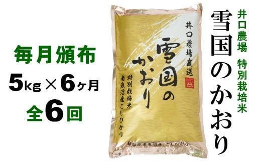 
【定期便】５kg×６ヶ月　南魚沼産コシヒカリ 井口農場 こだわりの 特別栽培米
