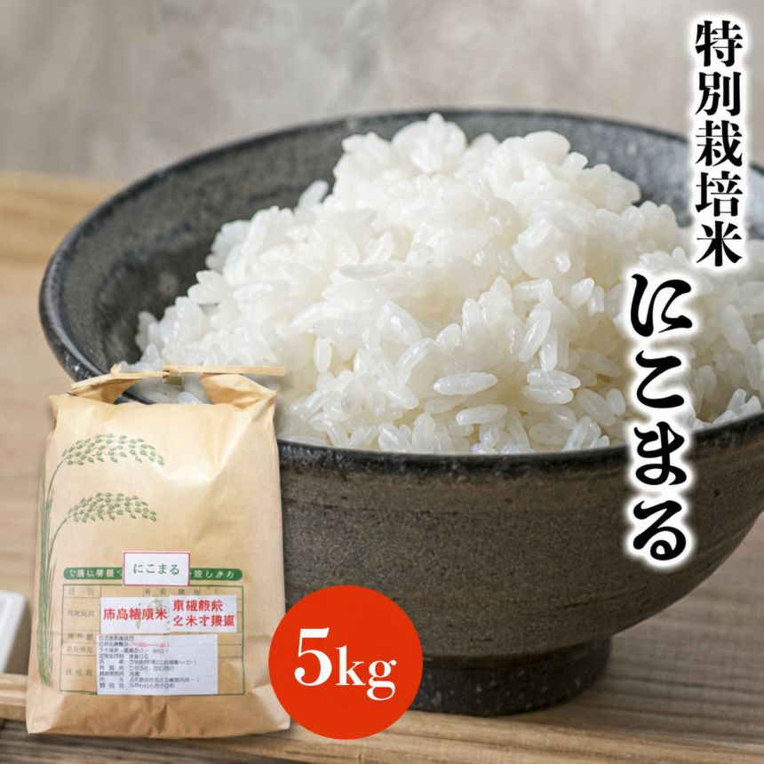 【ふるさと納税】特別栽培米 にこまる 5kg | お米 米 精米 白米 おこめ こめ ご飯 ごはん 国産米 5キロ 大分県産 九州産 大分県 中津市