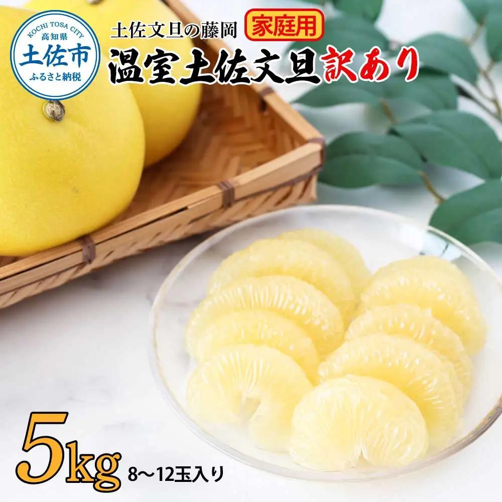 【先行予約】【訳あり】温室土佐文旦 家庭用 約5kg （8?12玉） 高知県土佐市 【土佐文旦の藤岡】 [BQBJ005]