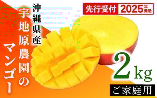 
            【先行受付】【2025年発送・家庭用】宇地原農園の沖縄県産マンゴー約2kg - 先行予約 沖縄県産 産地直送 南国フルーツ 旬の味覚 季節の果物 ご自宅用 アップルマンゴー 沖縄県 八重瀬町
          