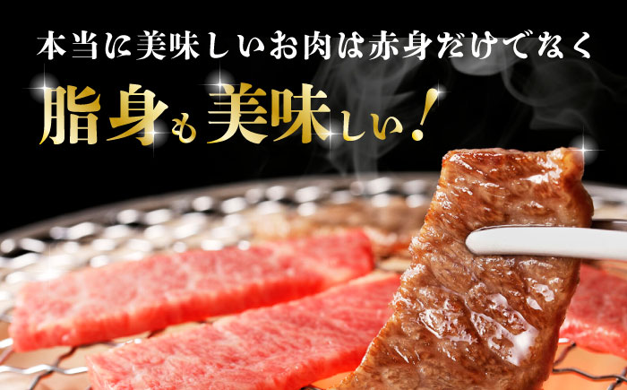 【数量限定】熊本県産 黒毛和牛 焼肉用 食べ比べ セット 約900g【九州食肉産業】  国産 カルビ ロース A4 A5 [ZDQ055]