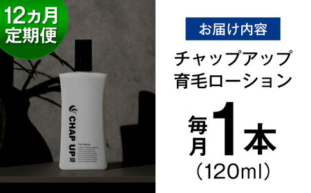 【12回定期便】薬用育毛剤 チャップアップ CHAP UP 120ml×1本 髪 育毛 脱毛予防 発毛促進 男性用[AIDV005]