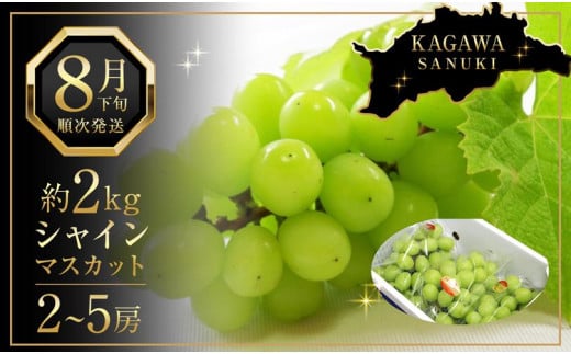 先行予約 シャインマスカット 2kg (2～5房)【葡萄 ぶどう マスカット フルーツ 果物 香川県産 数量限定】