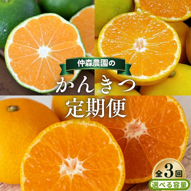 【ふるさと納税】 【全3回】仲森農園の 柑橘定期便 【選べる容量】 極早生温州 由良早生 早生温州 みかん ミカン 蜜柑 温州みかん 温州ミカン 柑橘 みかん定期便 フルーツ定期便 果物定期便 柑橘定期便 フルーツ 果物 くだもの 甘い 旬 人気 三重県 熊野市 送料無料