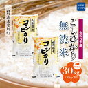 【ふるさと納税】令和6年産 真室川町 コシヒカリ ［無洗米］ 30kg 定期便（10kg×3回お届け）