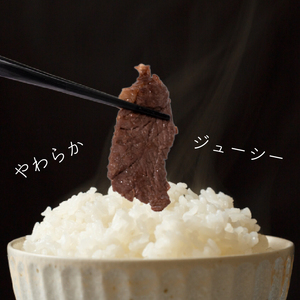 牛 ハラミ 秘伝のタレ 味付け 1.8kg ( 300g×6パック )