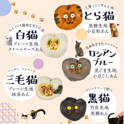 ふるさと納税 高山市 猫子づくし　TR4190 |  | 01