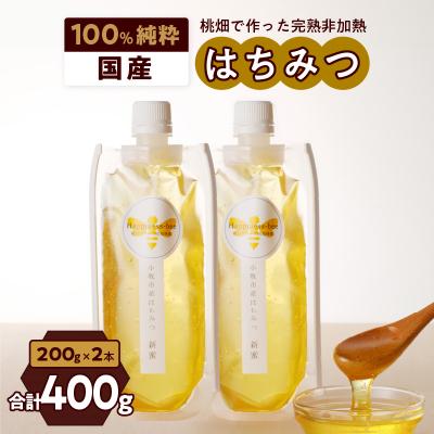ふるさと納税 小牧市 桃畑で作った完熟非加熱はちみつ 200g×2本 パウチ入り ポスト便[055A28]
