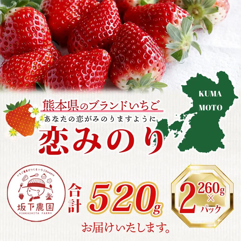 【先行予約】熊本県産いちご 恋みのり 約260g×2パック 103-0003