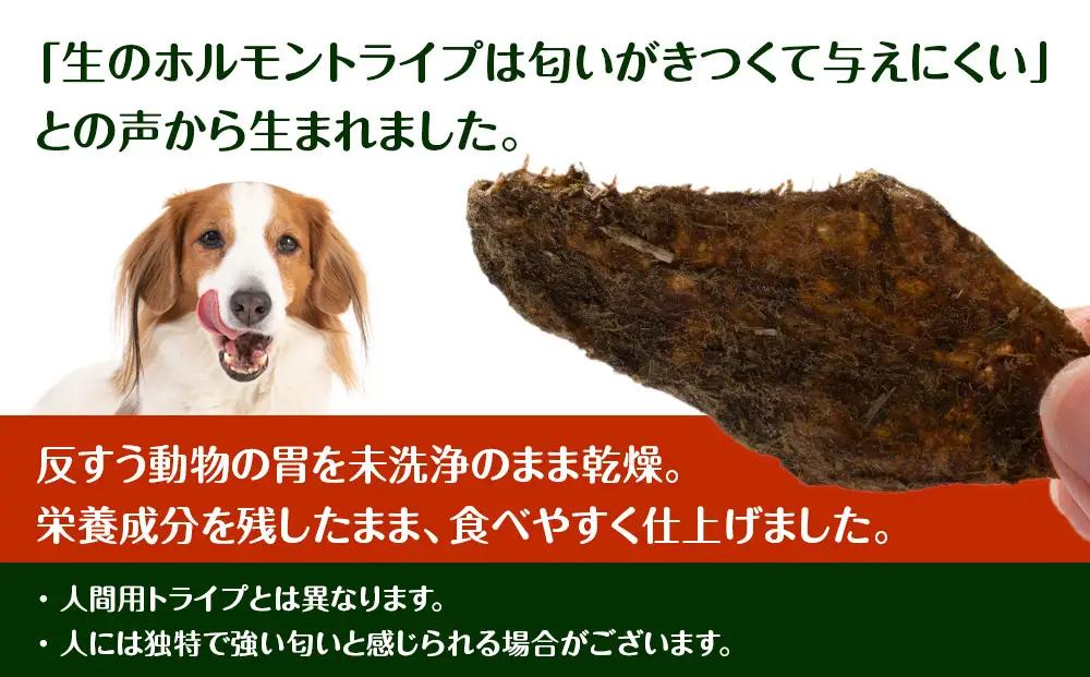 乾燥ホルモントライプ 20g×2袋