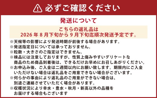 熊本市産 梨(幸水・豊水・秋月・新高など) 約4kg