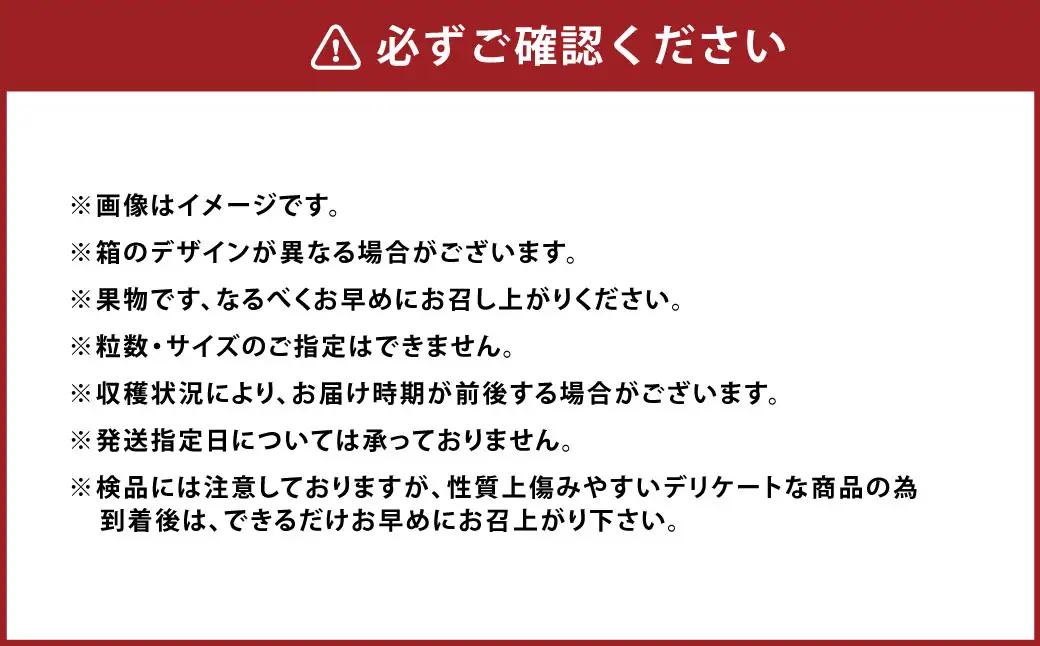 A161 【ギフト】 あまおう 24～30粒 いちご 【2026年12月上旬～2027年3月下旬発送予定】
