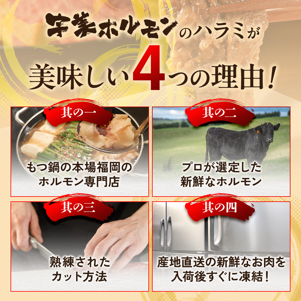 国産 特製たれ漬 牛ハラミ サガリ 250g JX003-1