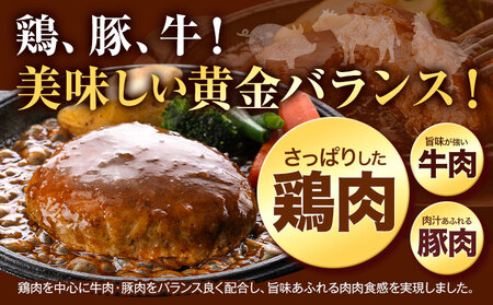 ハンバーグ 大容量！たっぷり 23個 入り 《7-14日以内に出荷予定(土日祝除く)》冷凍 大容量 23個 あか牛 国産 肉 牛肉 豚肉 鶏肉 クール便 温めるだけ 小分け 簡単 調理 特製 惣菜 デ